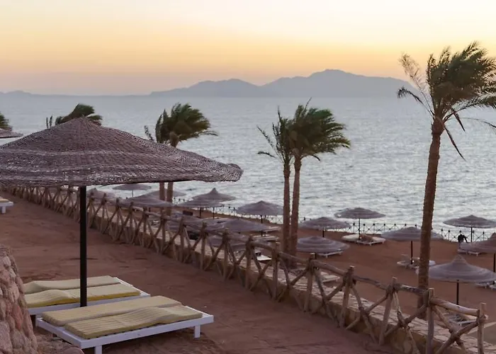 Coral Tiran Otel